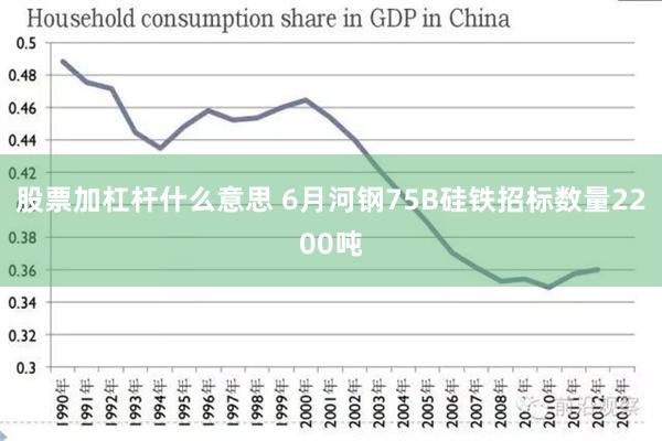 股票加杠杆什么意思 6月河钢75B硅铁招标数量2200吨