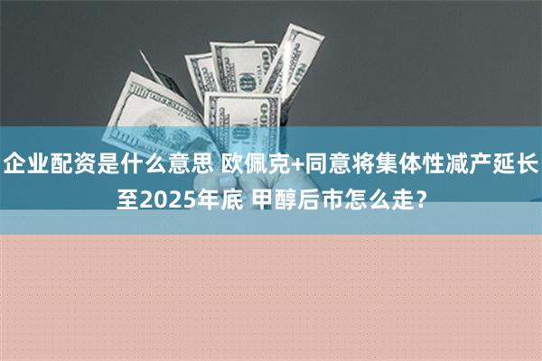 企业配资是什么意思 欧佩克+同意将集体性减产延长至2025年底 甲醇后市怎么走？