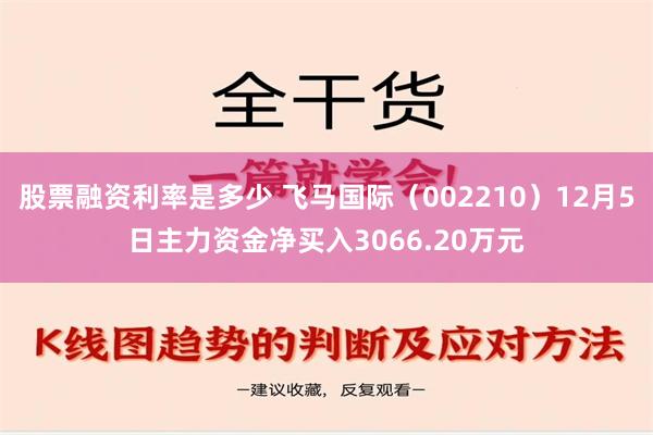 股票融资利率是多少 飞马国际（002210）12月5日主力资金净买入3066.20万元