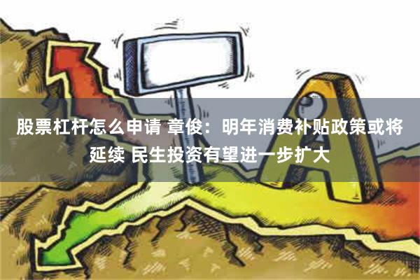 股票杠杆怎么申请 章俊：明年消费补贴政策或将延续 民生投资有望进一步扩大