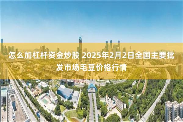 怎么加杠杆资金炒股 2025年2月2日全国主要批发市场毛豆价格行情