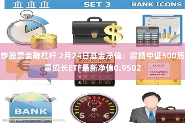 炒股票金融杠杆 2月24日基金净值：鹏扬中证500质量成长ETF最新净值0.9502